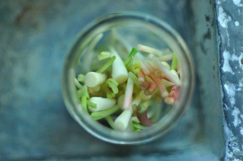 Trimmed ramps packed into the clean mason jar with spices.