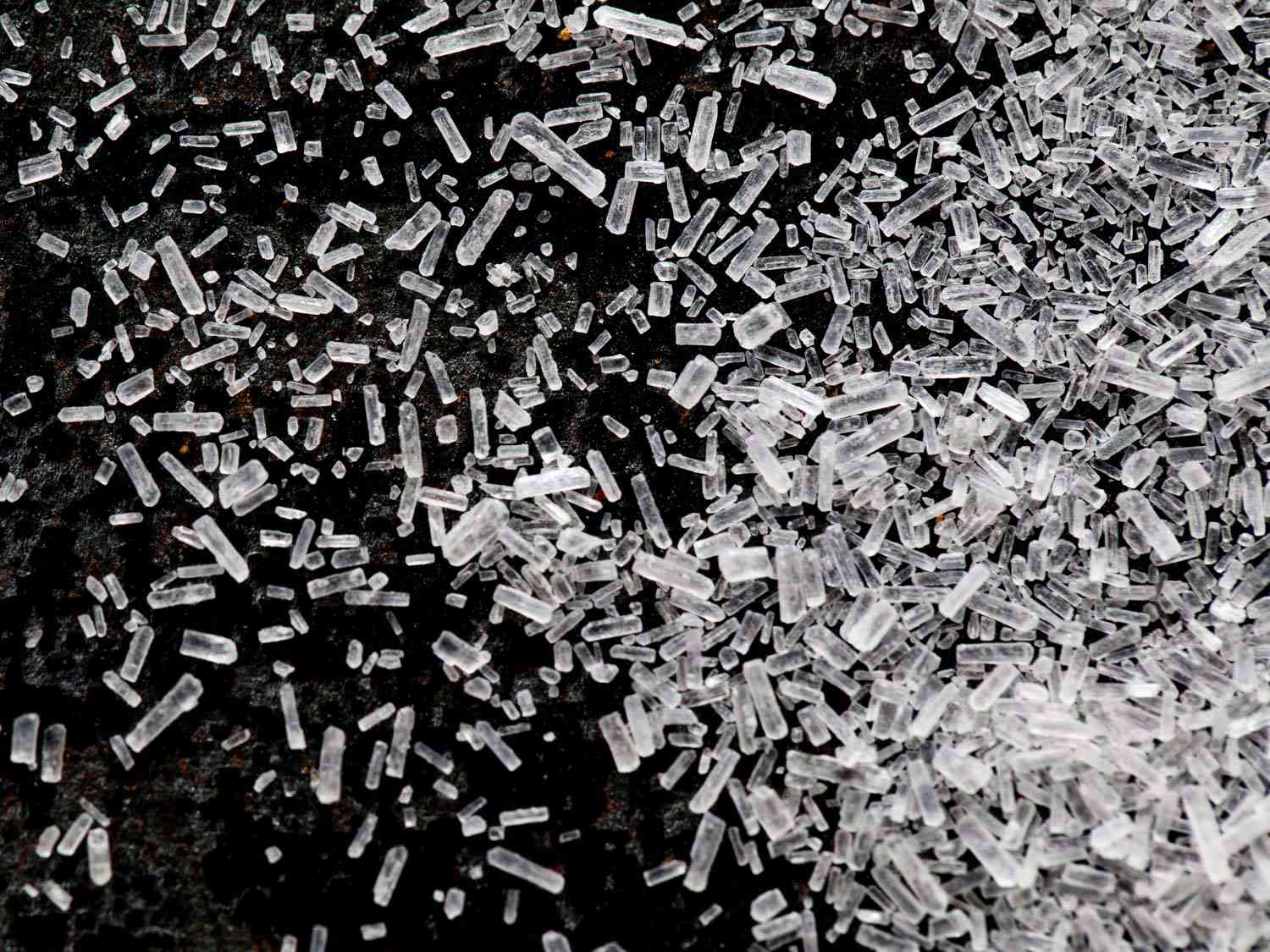 20190111-MSG-vicky-wasik-1-3