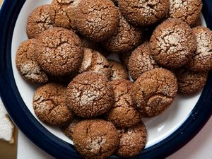 20161207-gingersnaps-vicky-wasik2.jpg