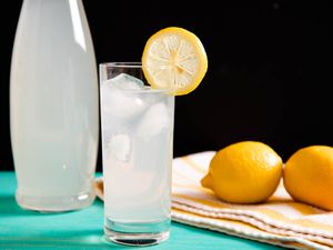 20160620-lemonade-vicky-wasik.jpg