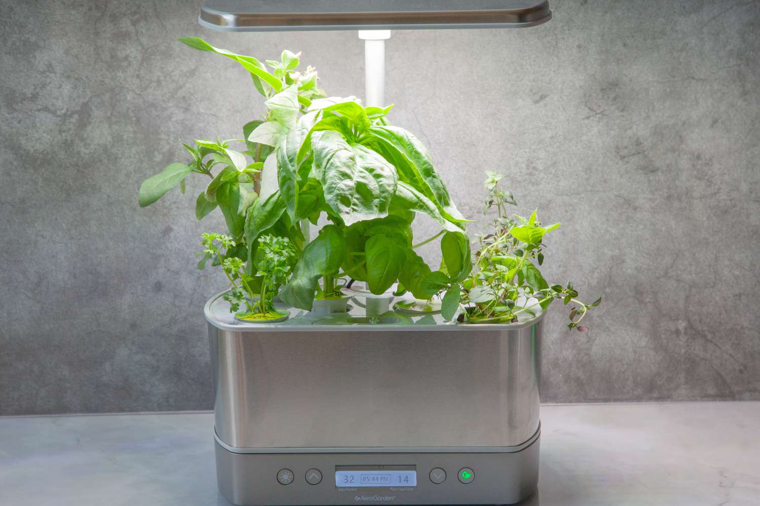 an aerograden with herbs in it