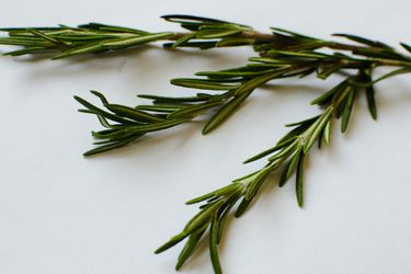 20111020-175553-rosemary.jpg