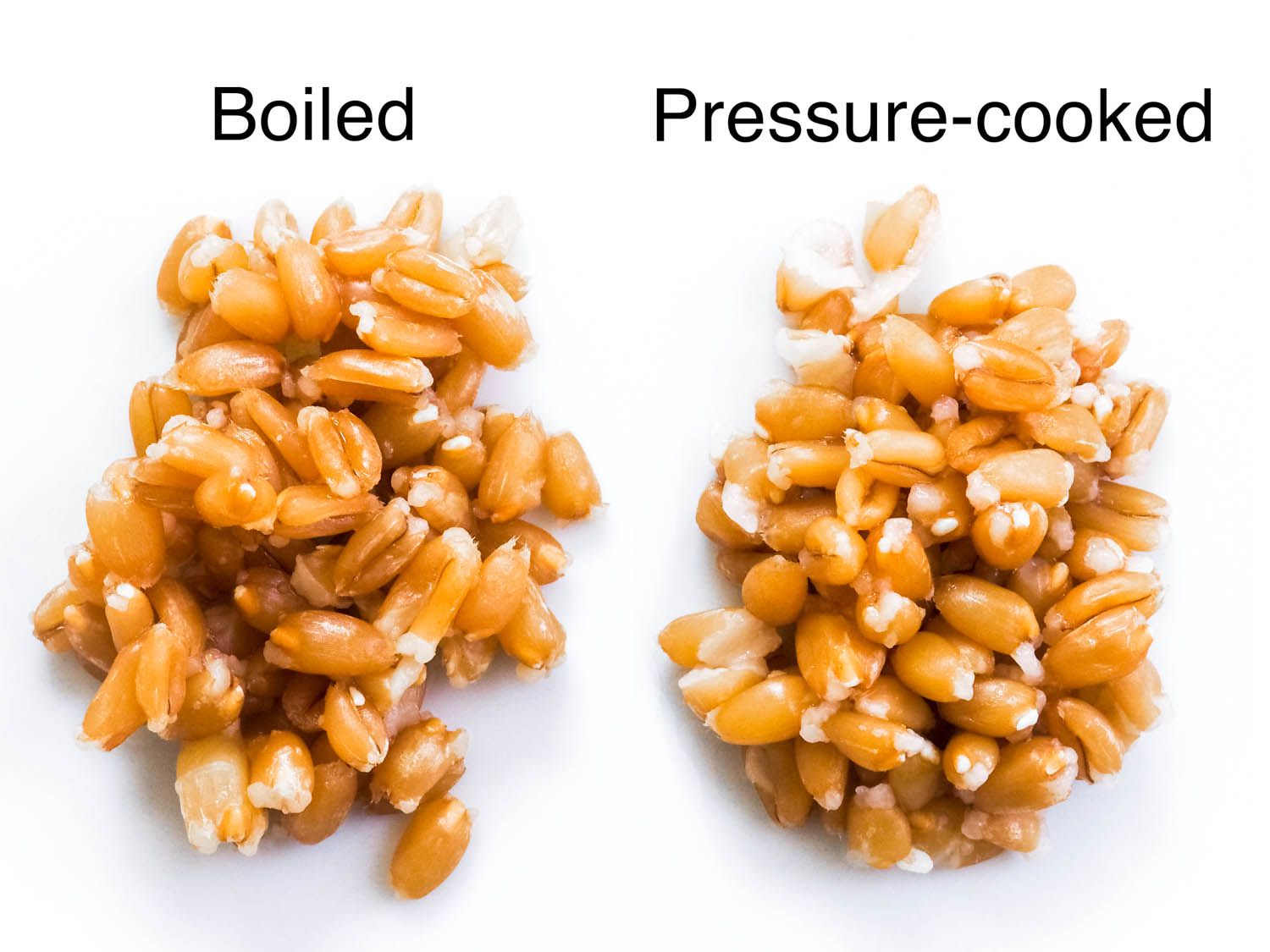 20140625-pressure-cooker-faq-daniel-gritzer-spelt-3.jpg