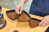 A person sifts coffee beans ground in the OXO Brew Conical Burr Coffee Grinder With Integrated Scale