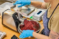 Person holding bowl of grind meat from Weston #8 Electric Meat Grinder