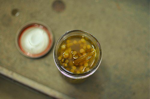 Overhead shot showing an opened jar of pickled garlic scapes. 