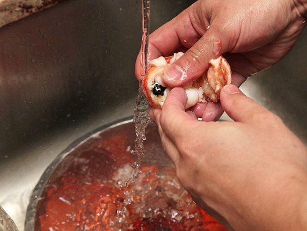 Washing out the digestive tract of a cooked lobster under running water