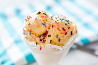 20180625-no-churn-vanilla-ice-cream-vicky-wasik-12