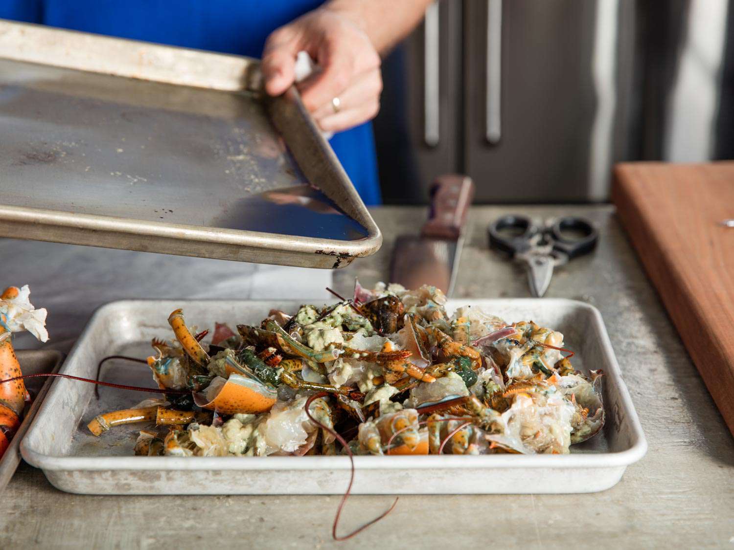 Lobster shells and picked, chopped bodies being transferred to a rimmed baking sheet.