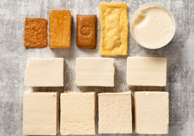 different types of tofu overhead shot
