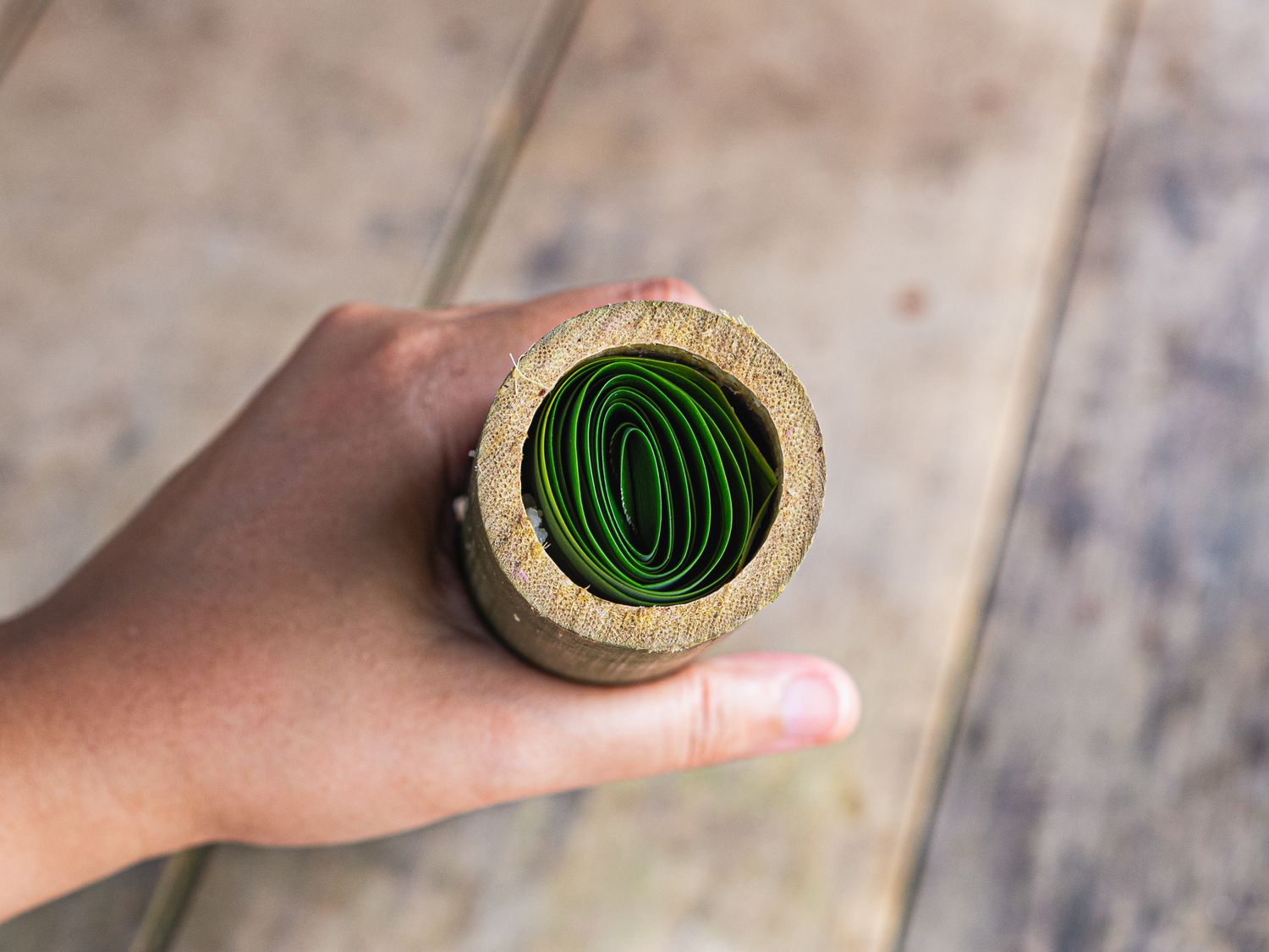 Overhead view of pandan leaf rolled into stuffed bamboo shoot