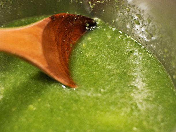 20110212-192585-green-hot-sauce-step-2