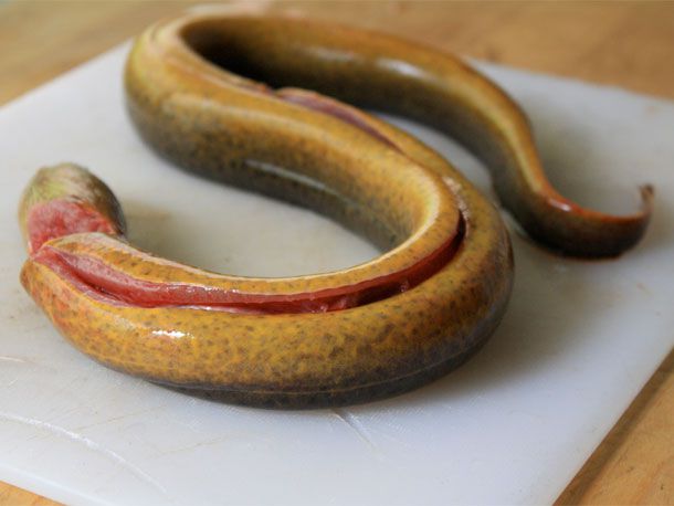 20110503-roasted-eel-primary.jpg