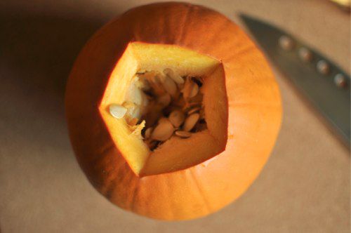 20110114-175122-pumpkin-first-cut.jpg