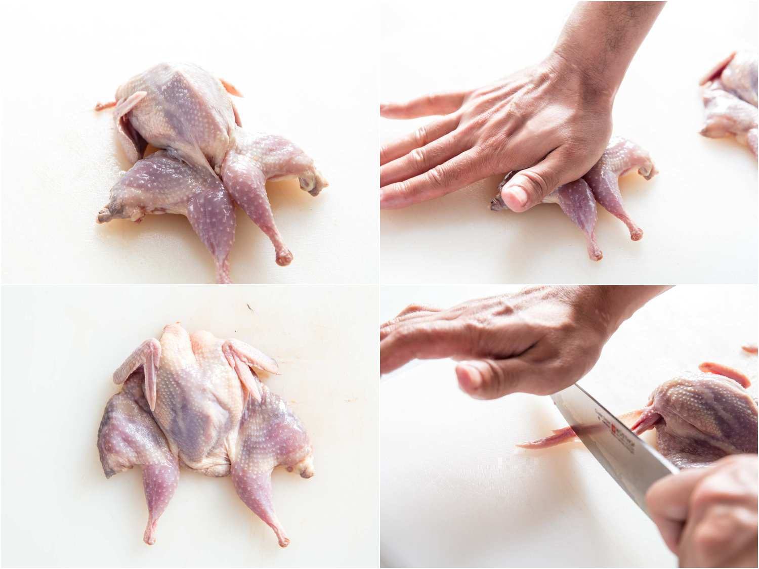 A four-image collage: The top left image shows a spatchcocked quail on a work surface. The top right image shows pressing the quail flat. The bottom left image shows the flat quail. The bottom right image shows cutting the wing tips of the quail. 