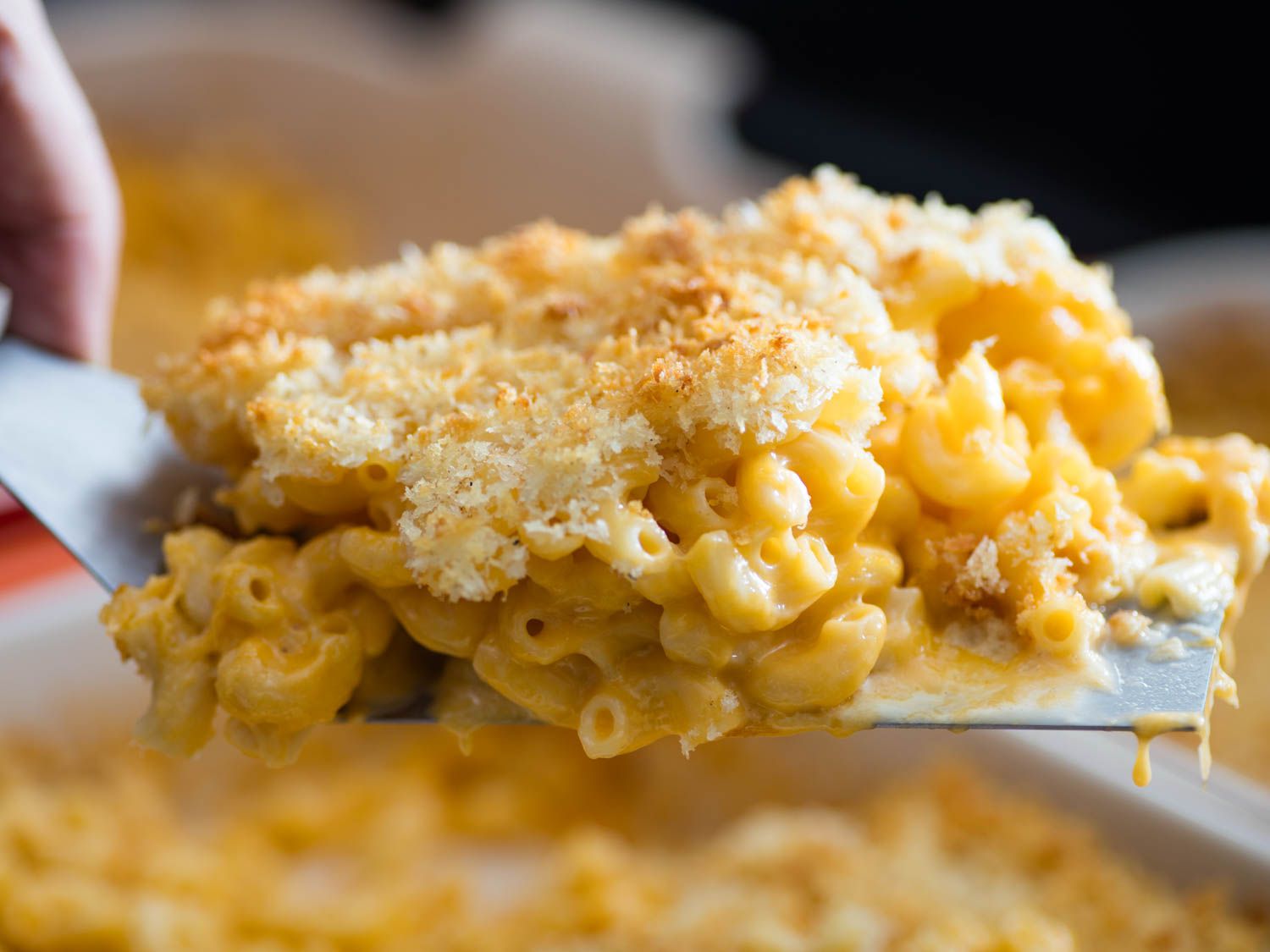 Scooping up a serving of modern mac and cheese.