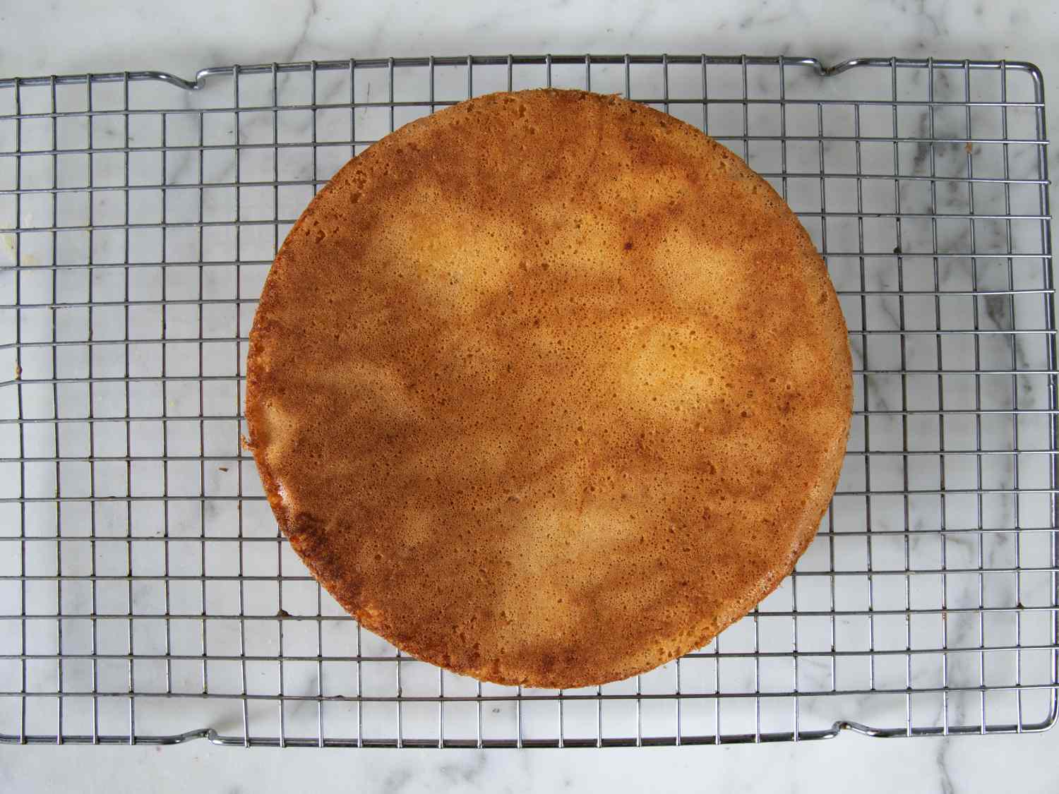 Cake resting on a cake rack