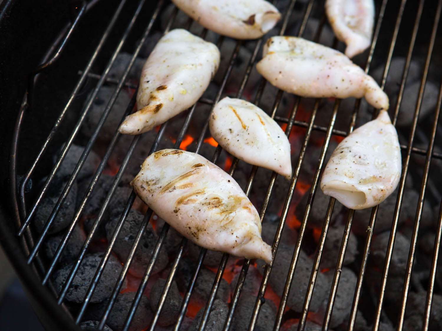 The squid bodies arrayed above hot coals on a grill grate. They have been turned over to reveal grill marks from the intense heat.
