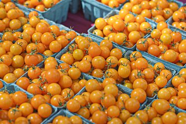 Multiple baskets of orange cherry tomatoes arranged on a table