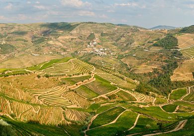 Thumbnail image for portugal douro valley