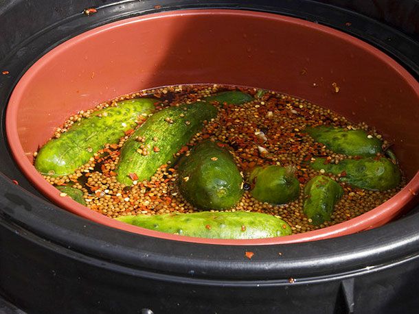 A container of homemade whole dill pickles in brine. 