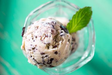 A dish with two scoops of homemade mint chocolate chip ice cream. 