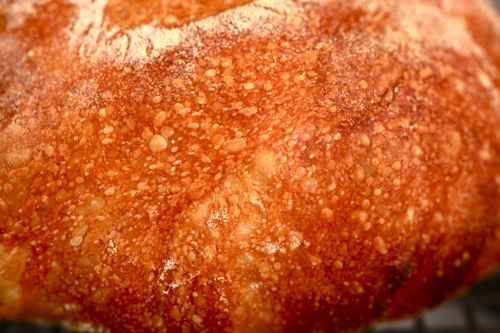 Closeup of tiny bubbles on golden brown crust of a rustic bread loaf 
