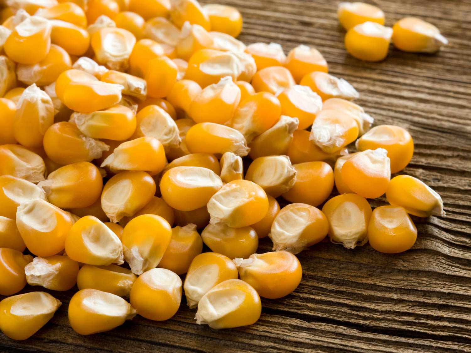 20150803-corn-guide-popcorn-kernels-stock-6.jpg