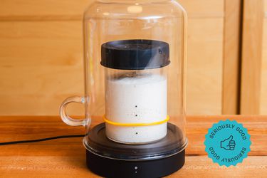 The Goldie Sourhouse on a wooden kitchen countertop