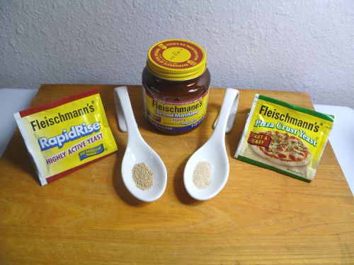 20101102 yeast selections.JPG