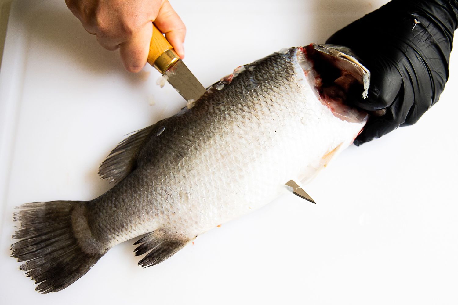 A person filleting a fish with a knife on a cutting board