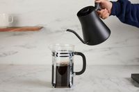 Person holding Fellow Stagg EKG Electric Gooseneck Kettle