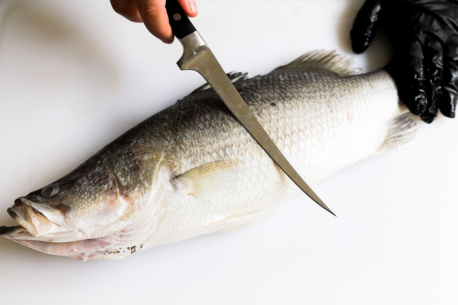 A person using the Wüsthof Classic Fish Fillet Knife to cut a fish