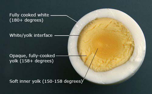 Diagram of overcooked egg, showing a fully cooked white exterior to a soft inner yolk.