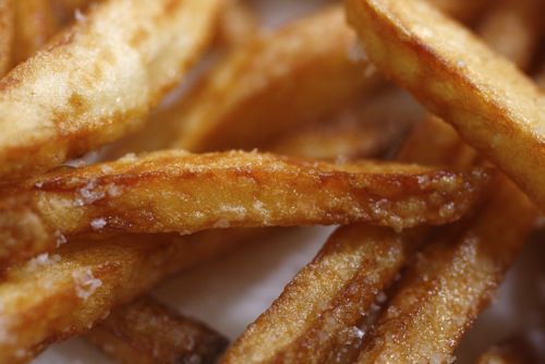 20100115-french-fry-perfect-fries1.jpg