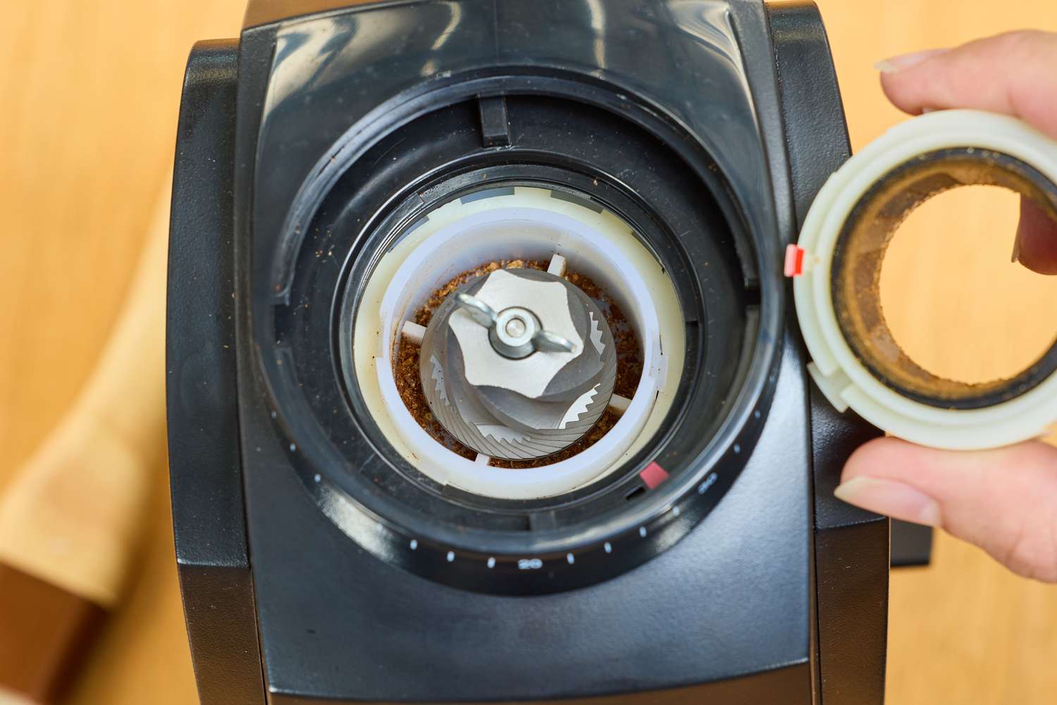 A person removes a piece from the Baratza Encore Conical Burr Coffee Grinder