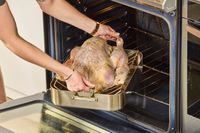 A person putting a raw Williams Sonoma Willie Bird Turkey into an oven