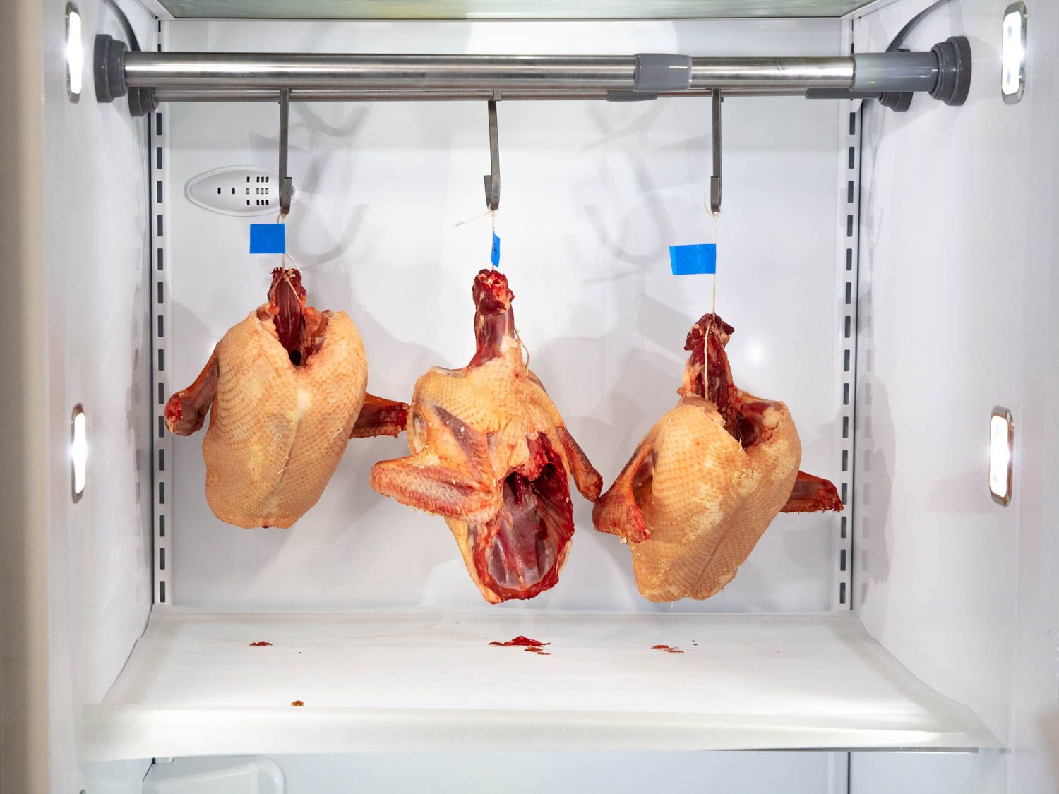 Duck crowns hanging in the fridge on day 3.
