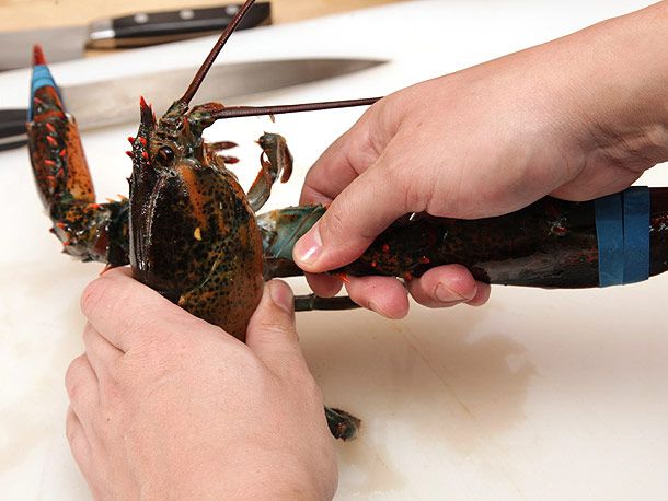 Twisting off the larger claw of a lobster below the knuckle