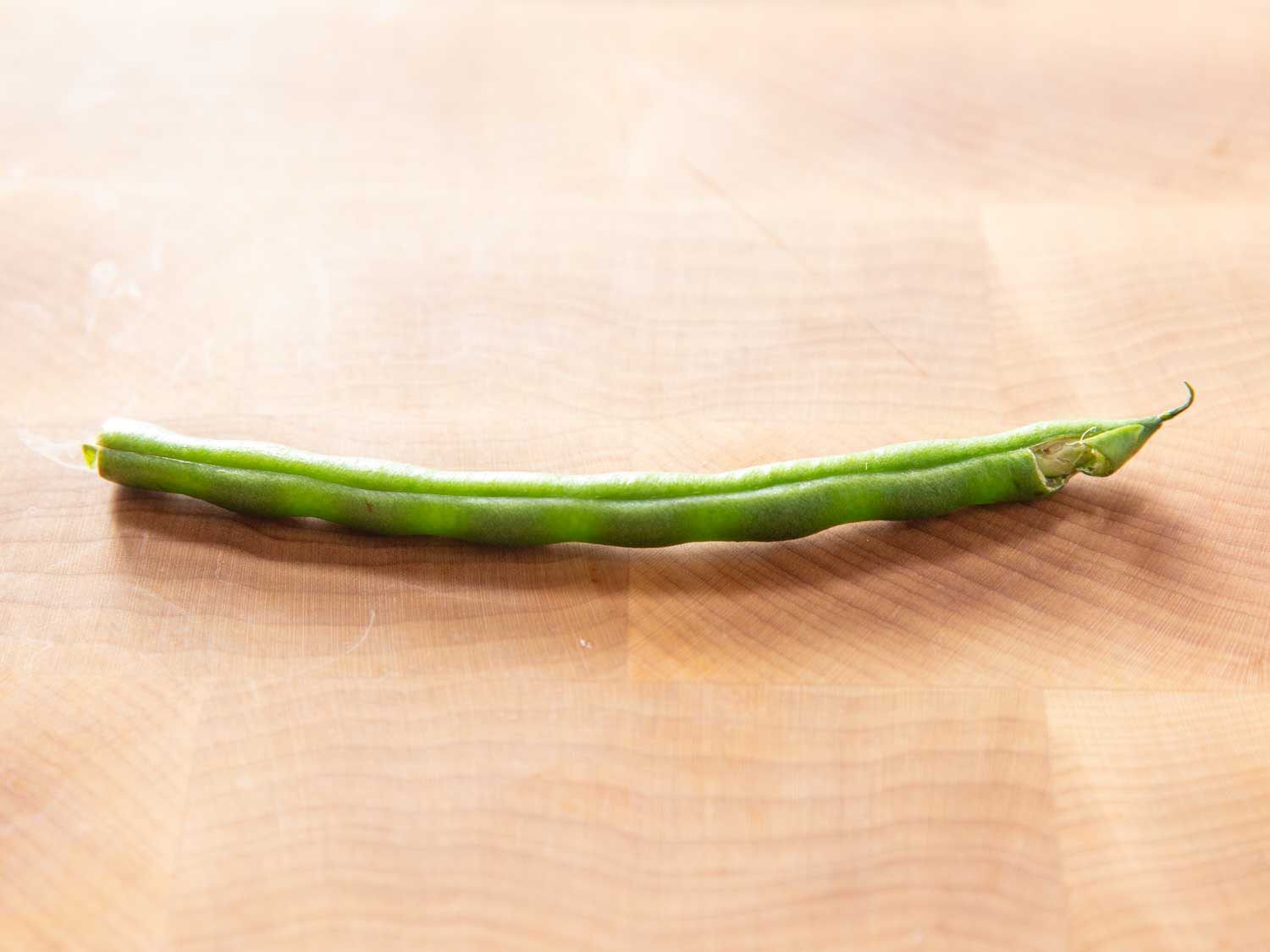 Closeup of a green bean that needs to be trimmed at both ends because it has been damaged at the bottom.